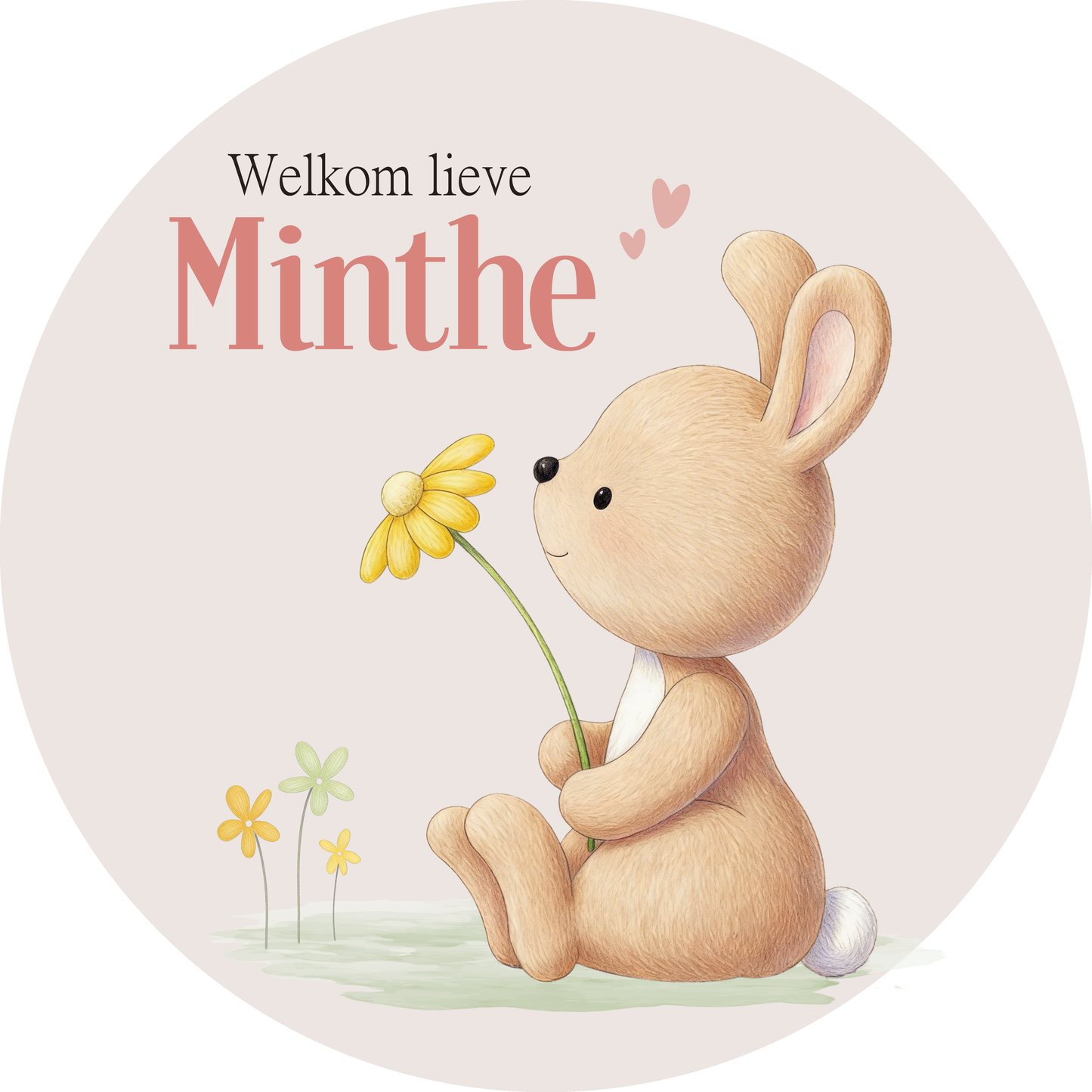 Geboortebord tuin - konijntje met bloem - kleur te kiezen (Ø60cm)