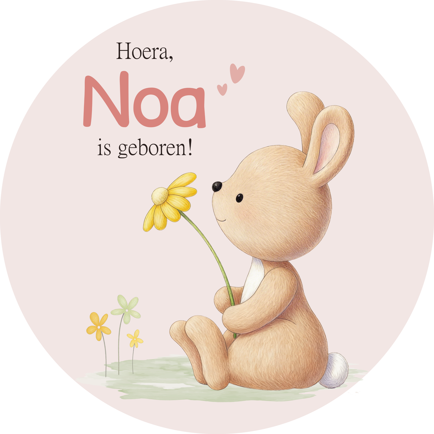 Geboortebord tuin - konijntje met bloem - kleur te kiezen (Ø60cm)